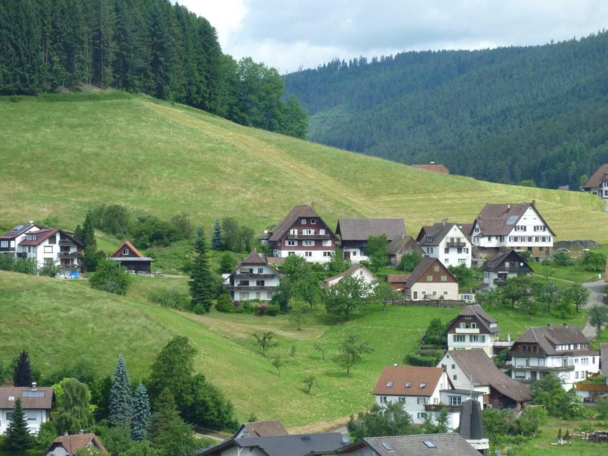 Apartamento Naehe Nationalpark Baiersbronn Exterior foto