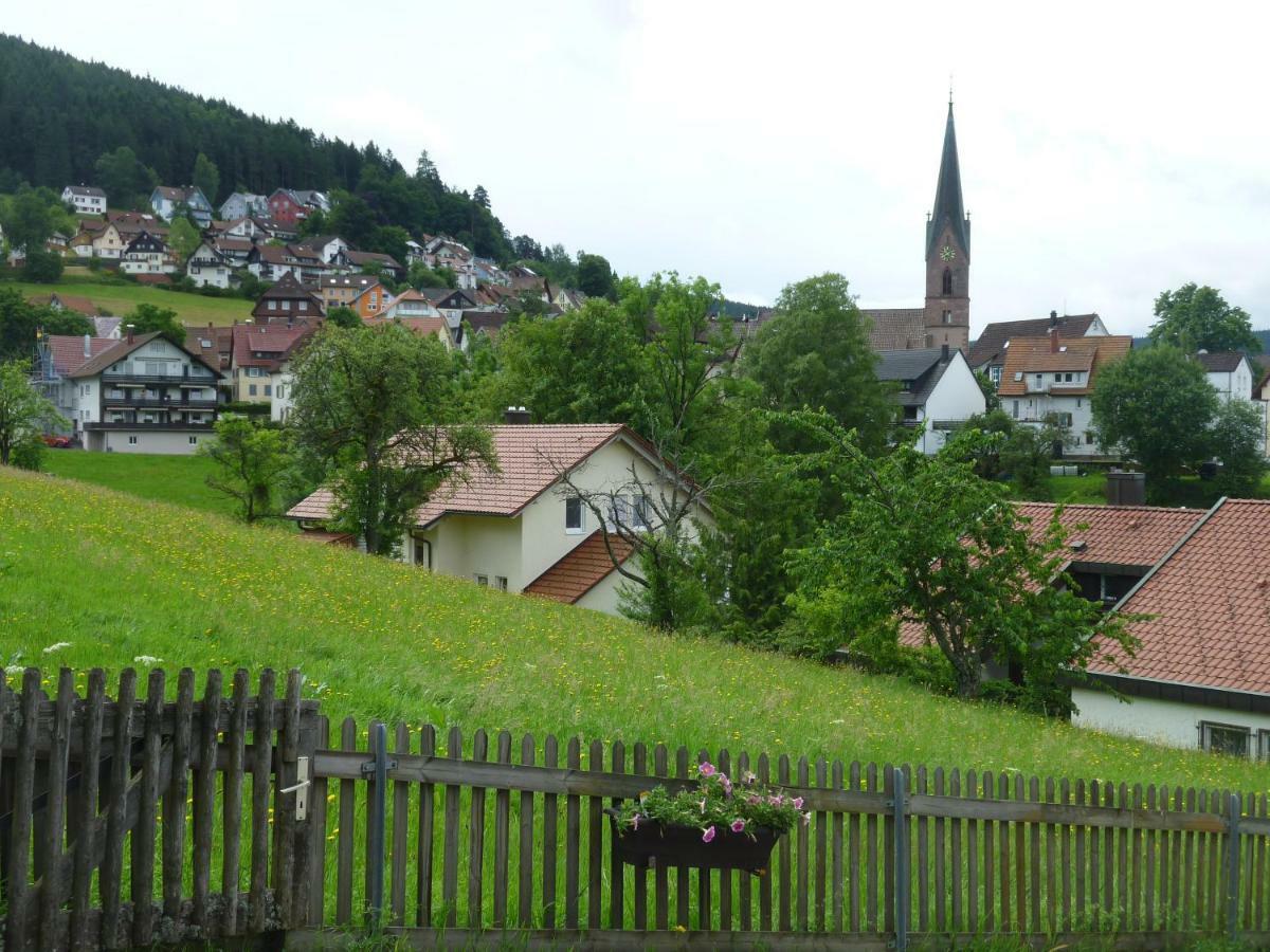 Apartamento Naehe Nationalpark Baiersbronn Exterior foto
